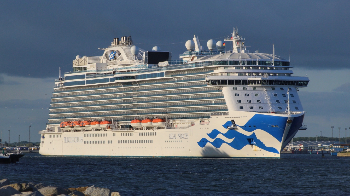 Regal Princess Ships At Sea