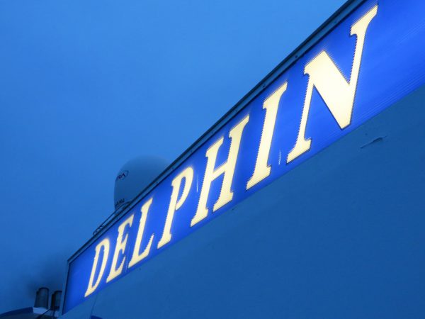 MS Delphin Schriftzug