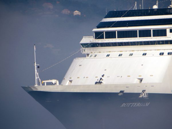 MS Rotterdam meets foggy Kotor