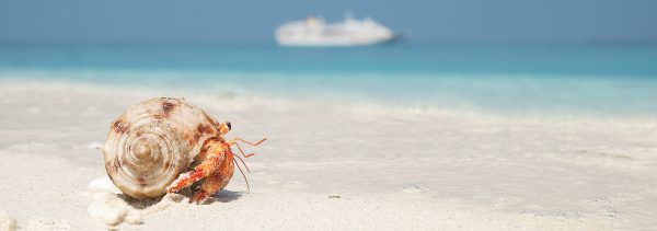 Nachhaltigkeit auf See
