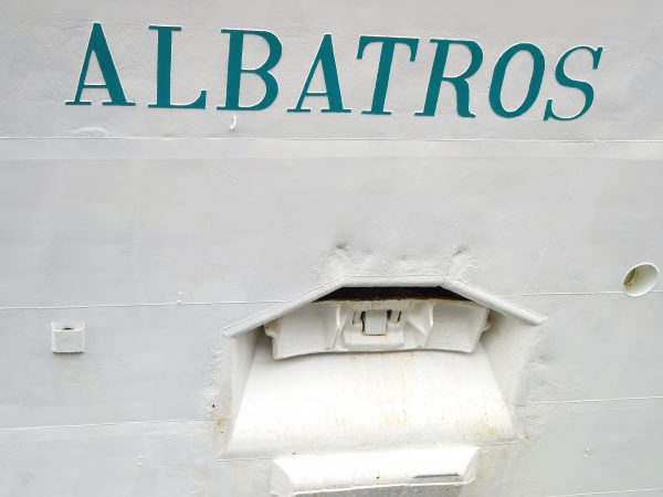 just Albatros