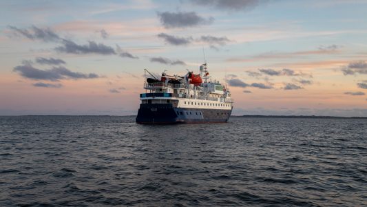 MS Quest Zodiac-Betrieb für Adler-Schiffe-Expedition