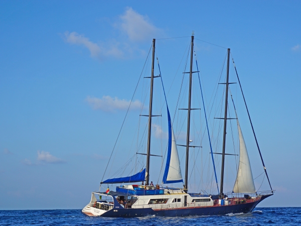 SY Sea Star partly with set sail 
