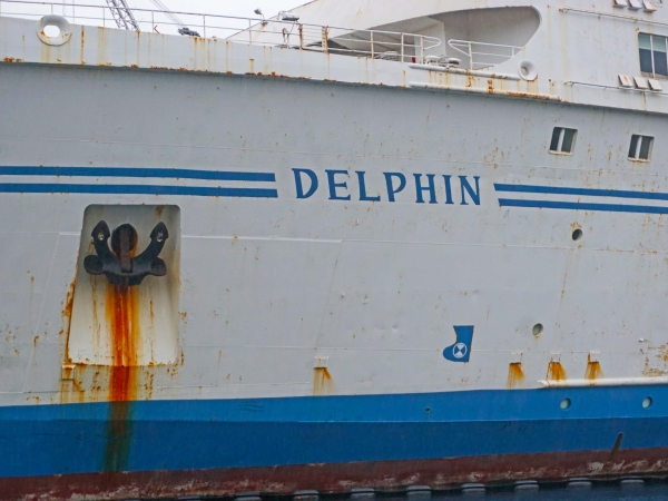 MS Delphin anchor