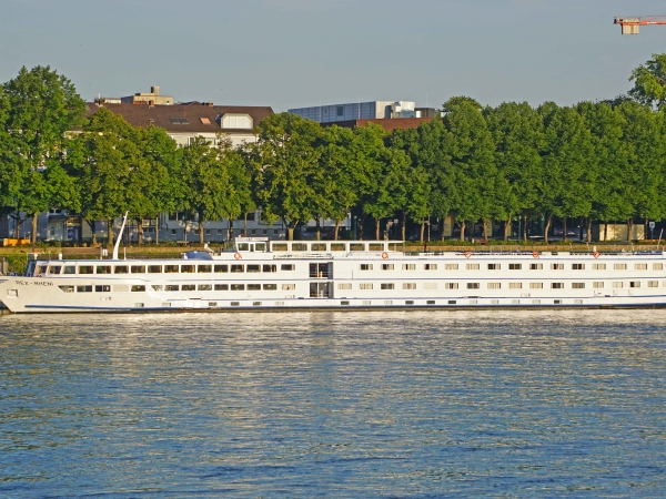 MS Rex Rheni moored in Bonn