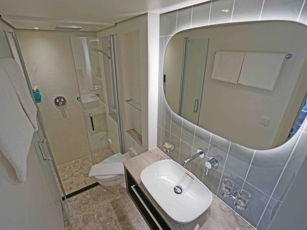 MS VIVA ONE of Viva Cruises Cabin 318 Bathroom