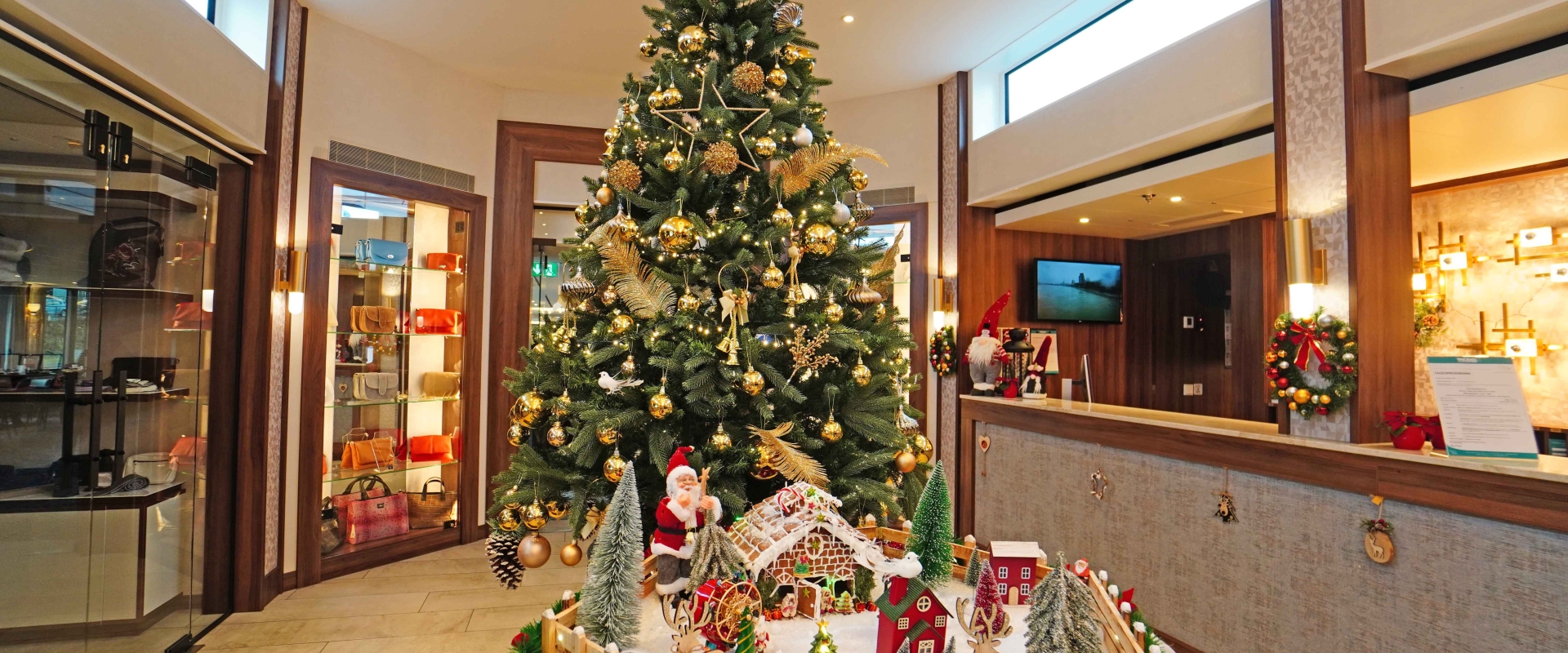 MS Anna Katharina of Phoenix Reisen XMAS