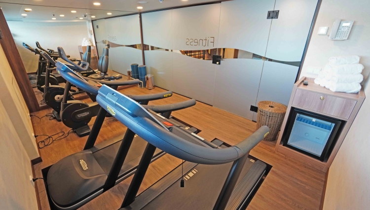 MS Annika Phoenix Reisen Gym