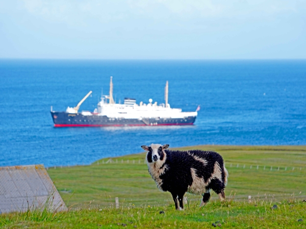 MS Nordstjernen of Vestland Classic