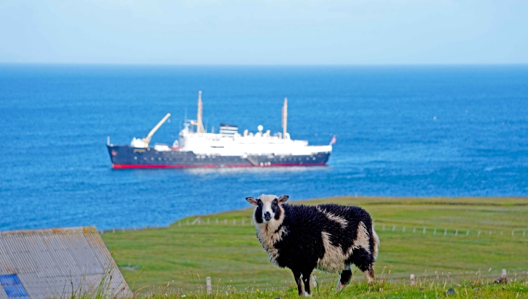 MS Nordstjernen of Vestland Classic