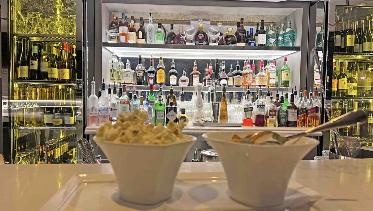 MS Riverside Debussy Palmcourt Bar of Riverside Luxury Cruises