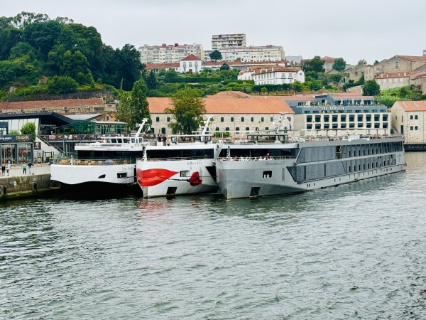 MS A-ROSA Alva of AROSA