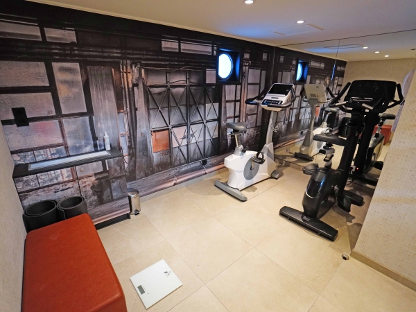 MS nickoSPIRIT Mini-Gym of nicko cruises