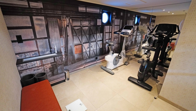 MS nickoSPIRIT Mini-Gym of nicko cruises
