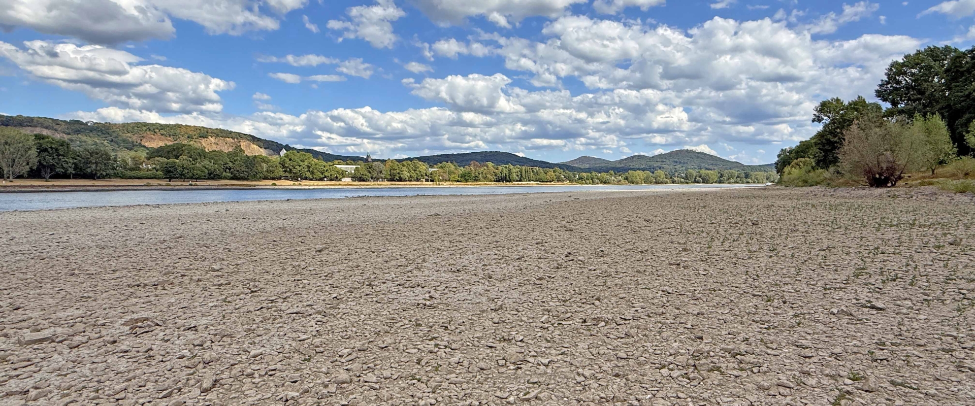 Rhein Niedrigwasser Bonn 2026