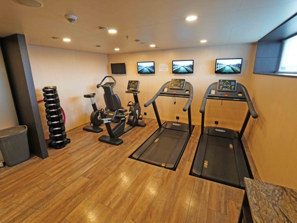 MS nickoVISION of nicko cruises Gym