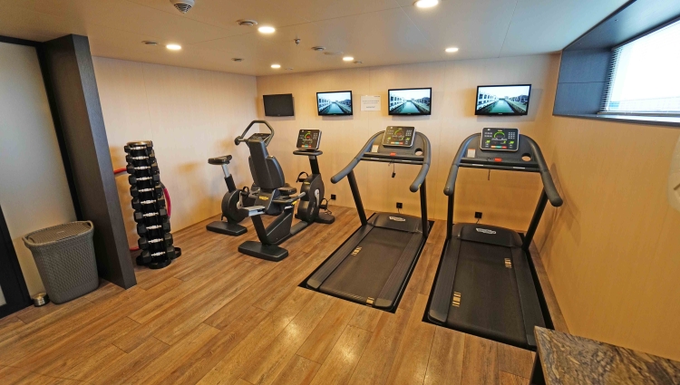 MS nickoVISION of nicko cruises Gym